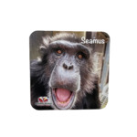 SEAMUS BEER COASTER